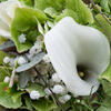 Detailbild von einem Brautstrauß, grüne Hortensie, weißer Calla und Eukalyptus sowie Schleierkraut.